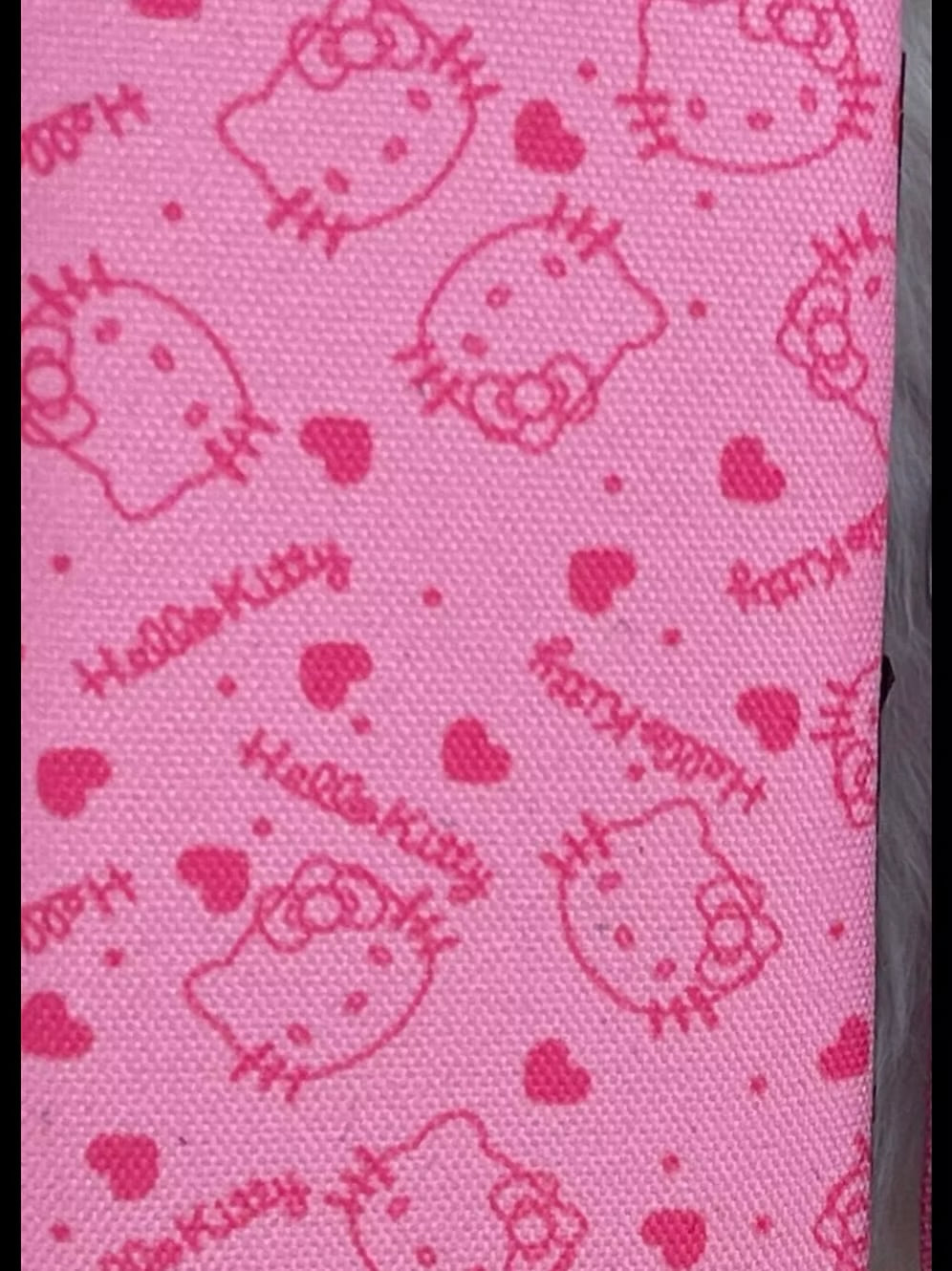 Hello Kitty Magnetic Tweezer Cases